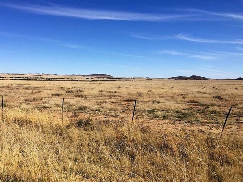 EXCELLENT CATTLE FARM 65 KM FROM BLOEMFONTEIN.NO BUILDINGS - Photo 6