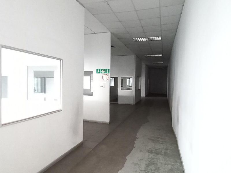 A long industrial hallway featuring suspended ceiling tiles, recessed lighting, and multiple internal viewing windows looking into adjacent office or workspace areas.