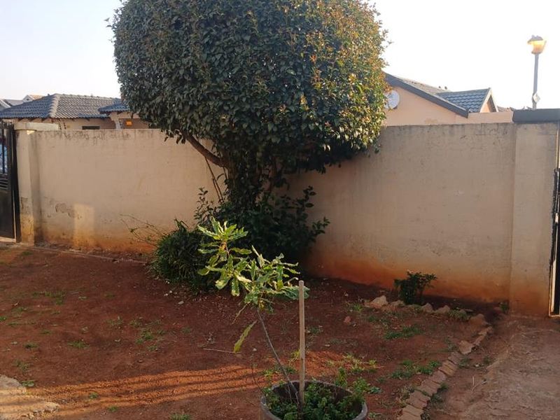 A modest garden area featuring a perimeter wall, paved section, and established tree, offering potential for landscaping improvements.