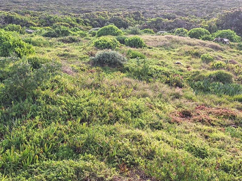 Build Your Dream Coastal Home: Vacant Lermans Village!" Land in Moquini for sale - Photo 6