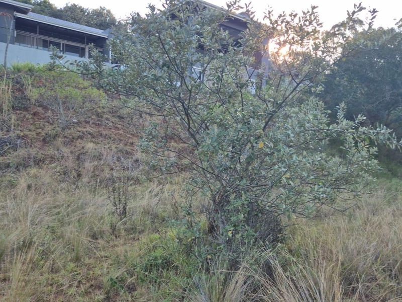 A view of the sloped, undeveloped rear portion of the residential land with natural vegetation and surrounding landscape.