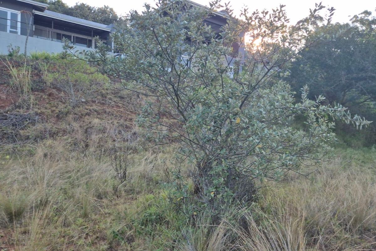 A view of the sloped, undeveloped rear portion of the residential land with natural vegetation and surrounding landscape.