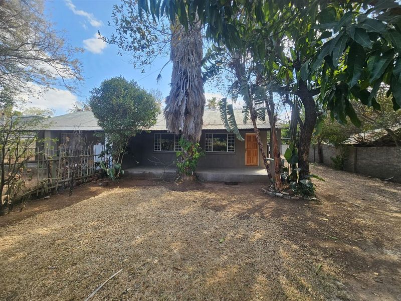 Rear view of the house featuring a concrete patio, corrugated metal roof, and established garden area with mature trees and boundary walling.