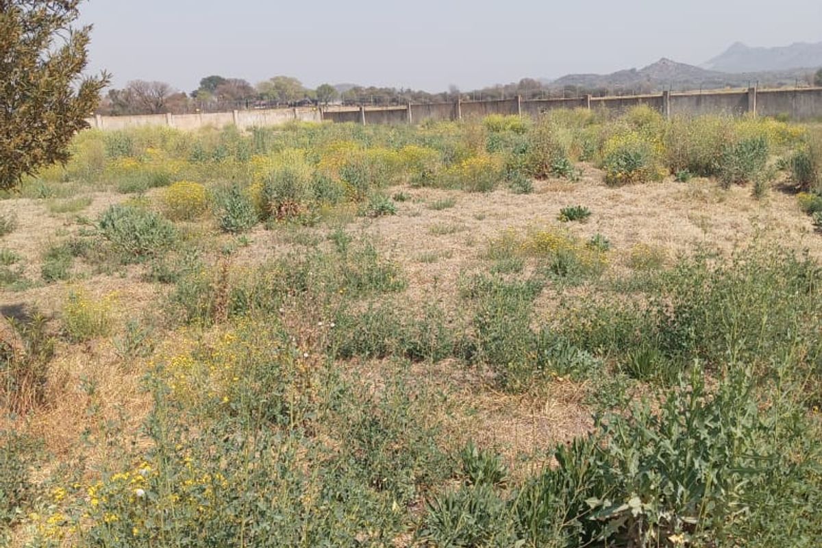 Build your dream house - Photo 2