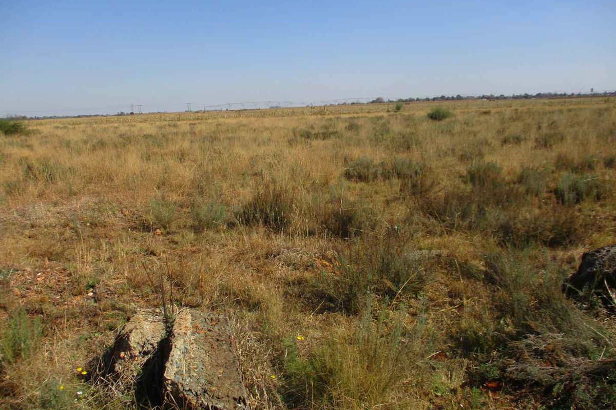 VACANT STAND IN HENLEY - Photo 4