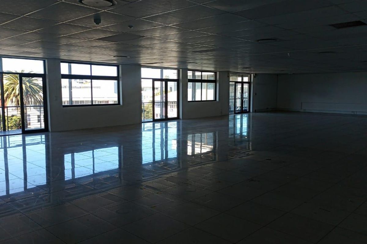 Modern Office Space To Let in Rondebosch Main – Prime Location Near UCT - Photo 4