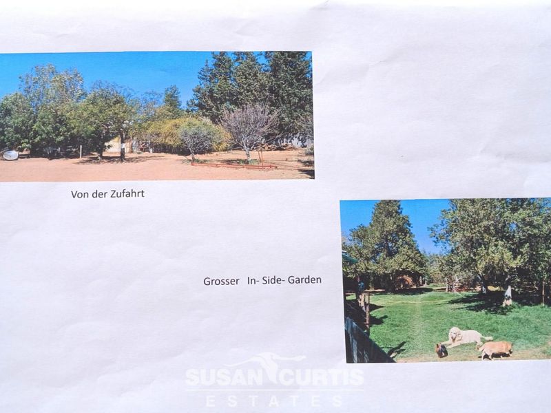 BEAUTIFUL SMALL HOLDING - Photo 5