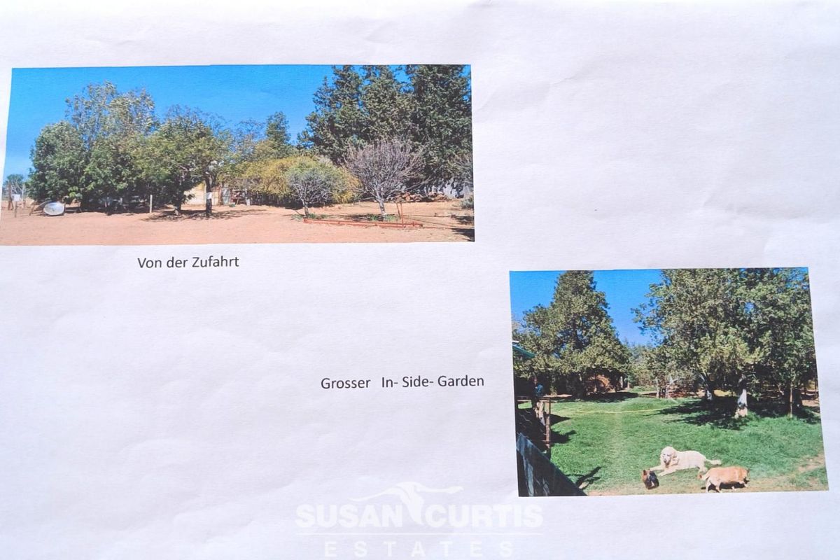 BEAUTIFUL SMALL HOLDING - Photo 5