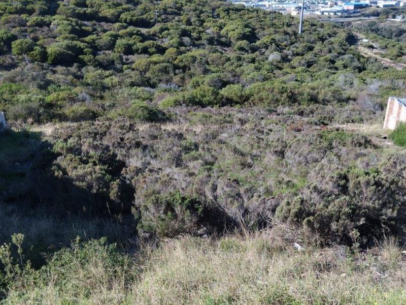 VACANT LAND IN THE EVER POPULAR SEEMEEU PARK, MOSSELBAY - Photo 4