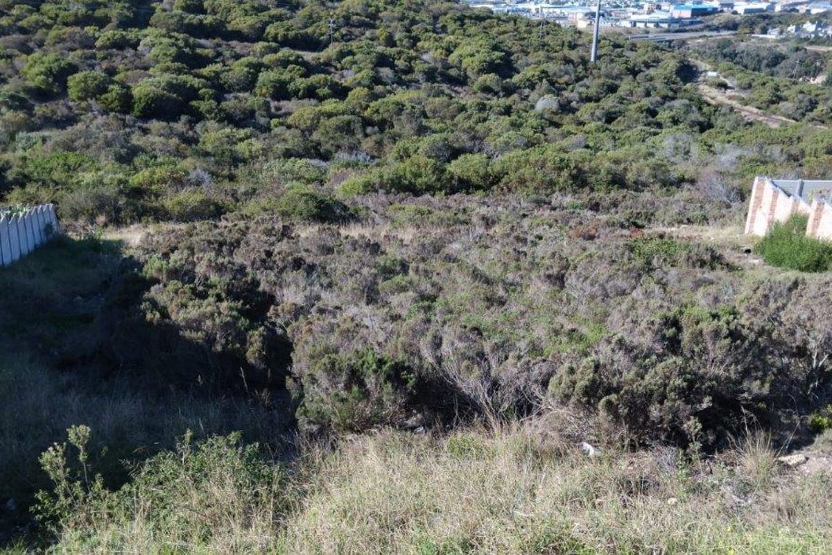 VACANT LAND IN THE EVER POPULAR SEEMEEU PARK, MOSSELBAY - Photo 4