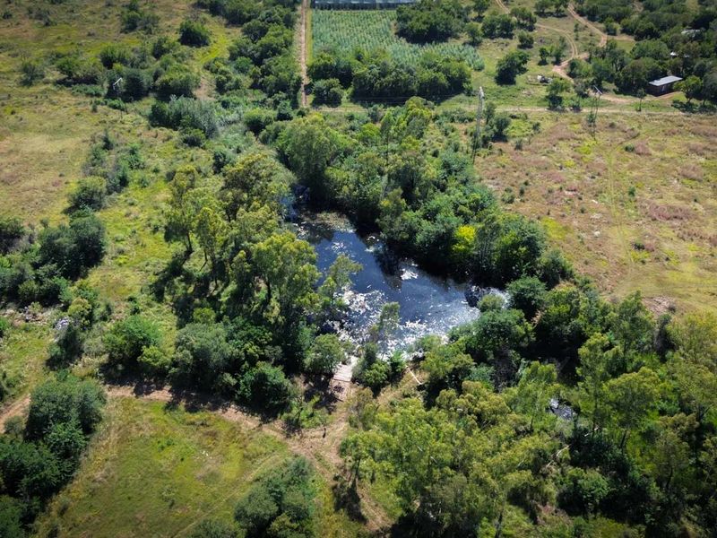 22ha Farm for Sale – Prime Small-Scale Farming Opportunity - Photo 5