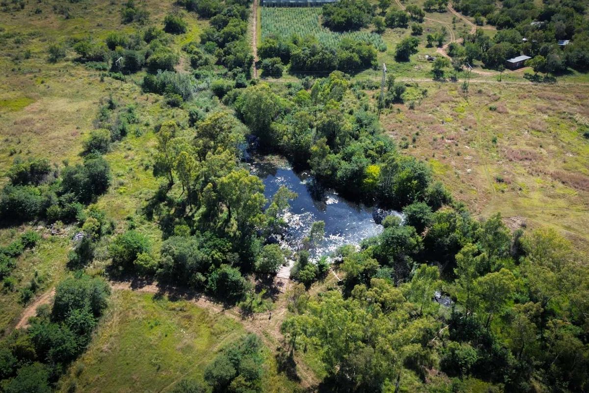 22ha Farm for Sale – Prime Small-Scale Farming Opportunity - Photo 5