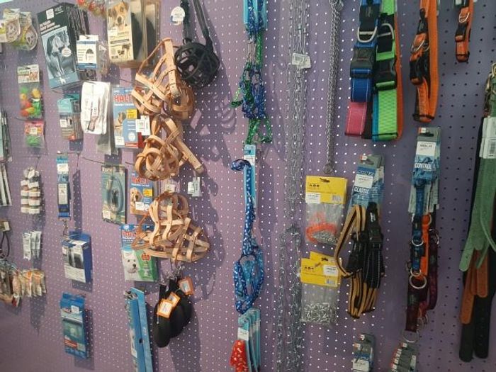 Property #2337785, Business For Sale in Swakopmund Central