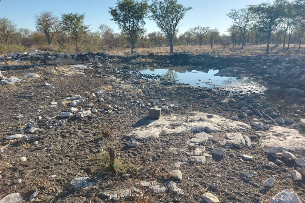 FOR SALE- FARM IN THE TSUMEB/ ETOSHA AREA, NAMIBIA - Photo 4