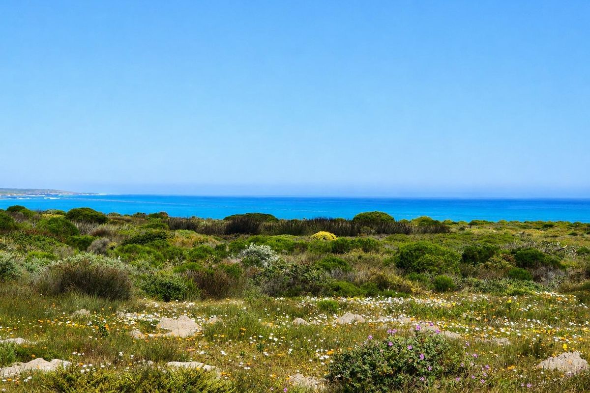 A scenic view of the coastal landscape featuring native vegetation and a clear blue ocean horizon.
