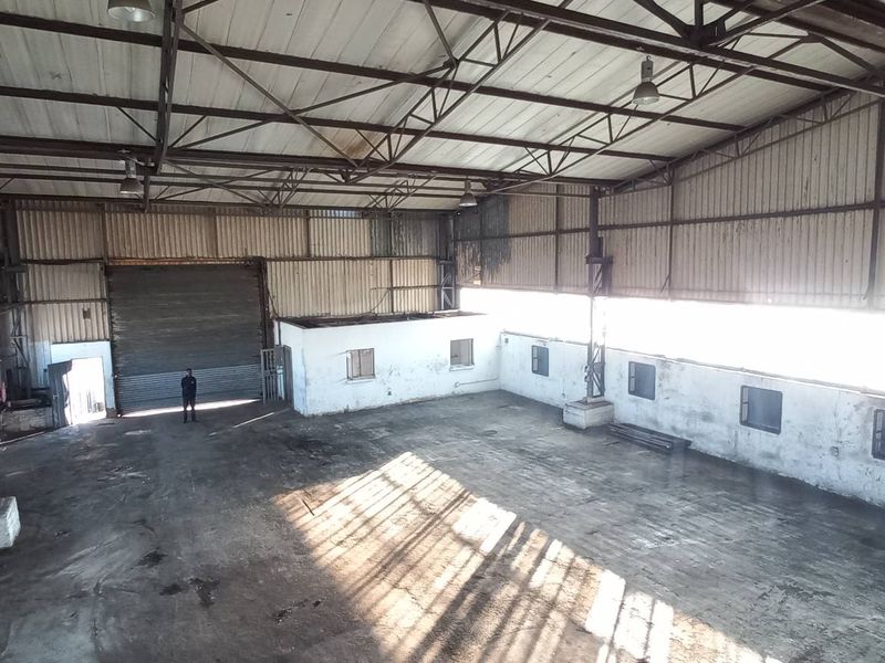 Spacious industrial warehouse featuring high-clearance steel truss roofing, large roller shutter door access, and concrete flooring, suitable for manufacturing or storage operations.