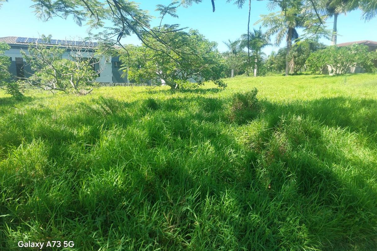 Spacious Vacant land for Sale in Palm Lakes Estate - Photo 3