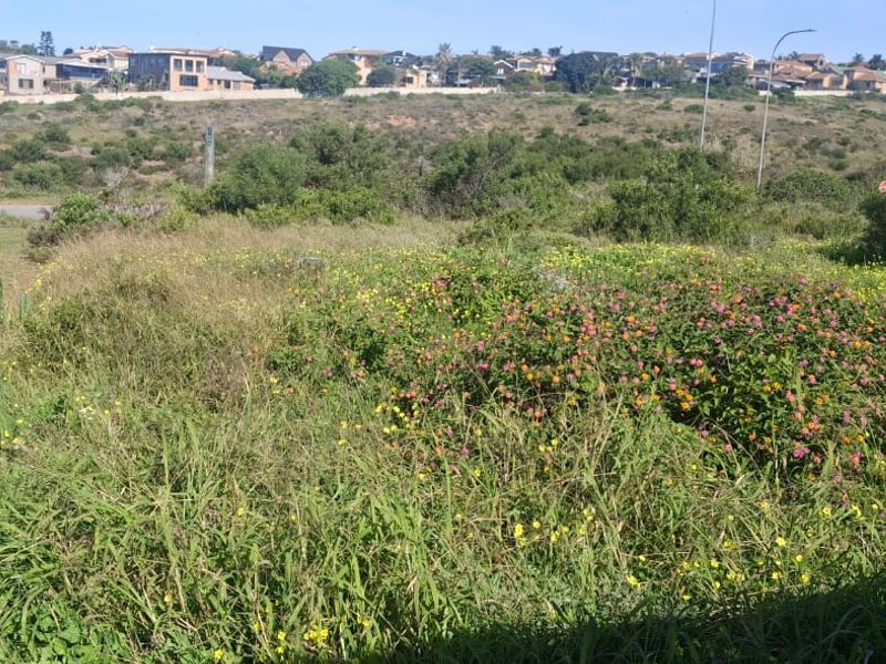 A view of an undeveloped residential plot featuring natural vegetation and surrounding neighborhood landscape.