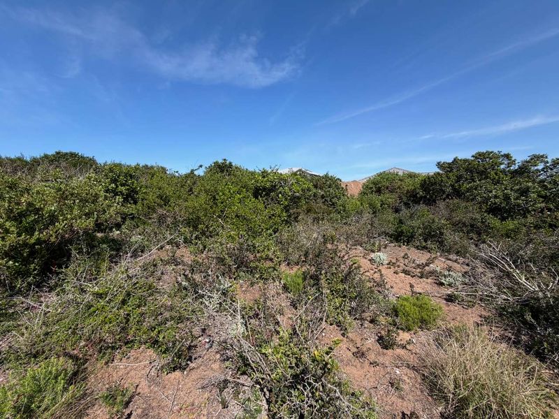 A view of the natural, undeveloped landscape featuring native shrubs and vegetation on the residential plot.