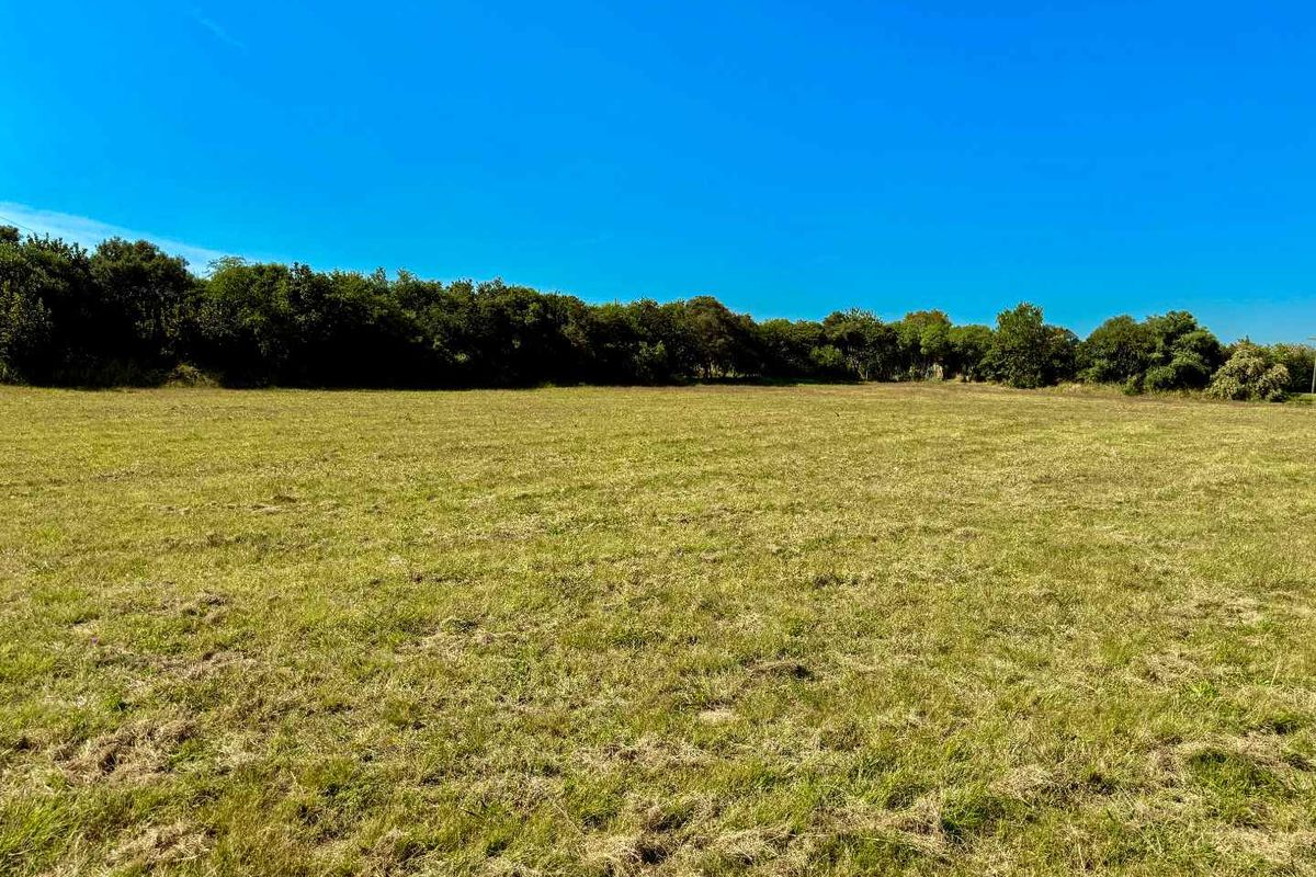 Premium Land on Steyn City's Greenbelt - Build Your Dream Home in a Serene Location - Photo 4