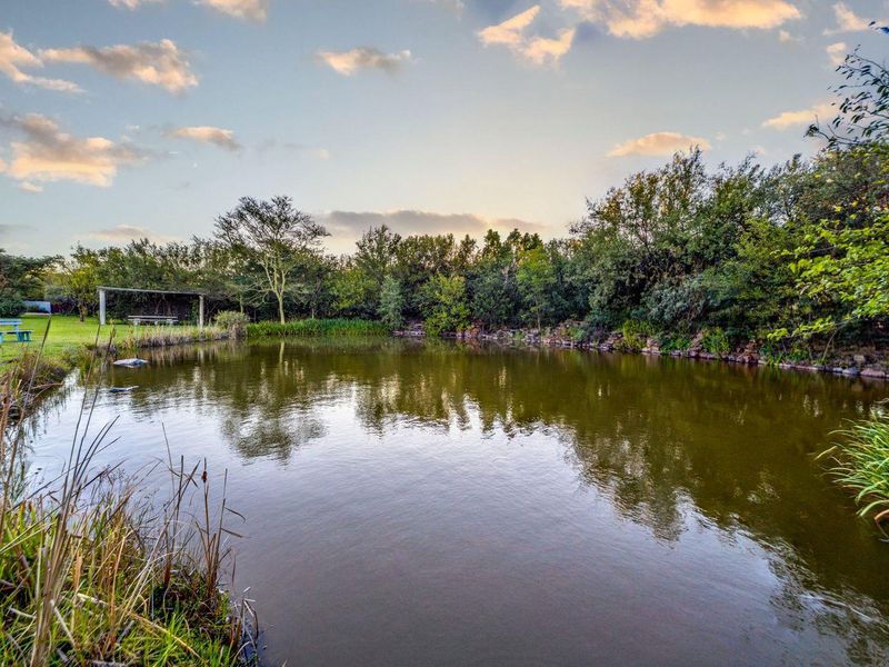 A serene natural pond set within a landscaped garden area, featuring mature trees and a stone-edged shoreline.