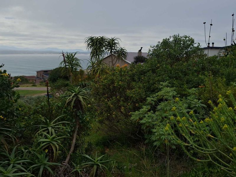 Well-situated stand in prestigious Vleesbaai - Photo 5