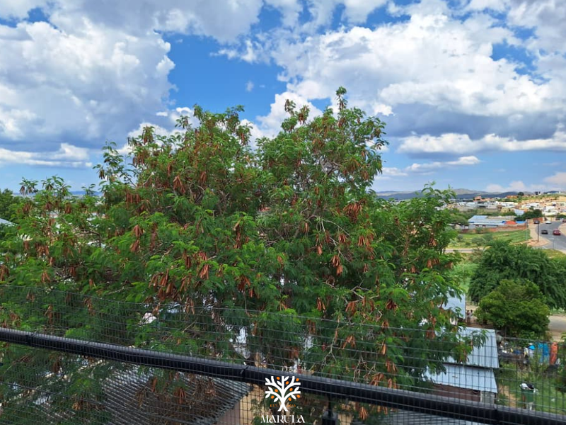 2-BEDROOM APARTMENT | OTJOMUISE, WINDHOEK - Photo 10