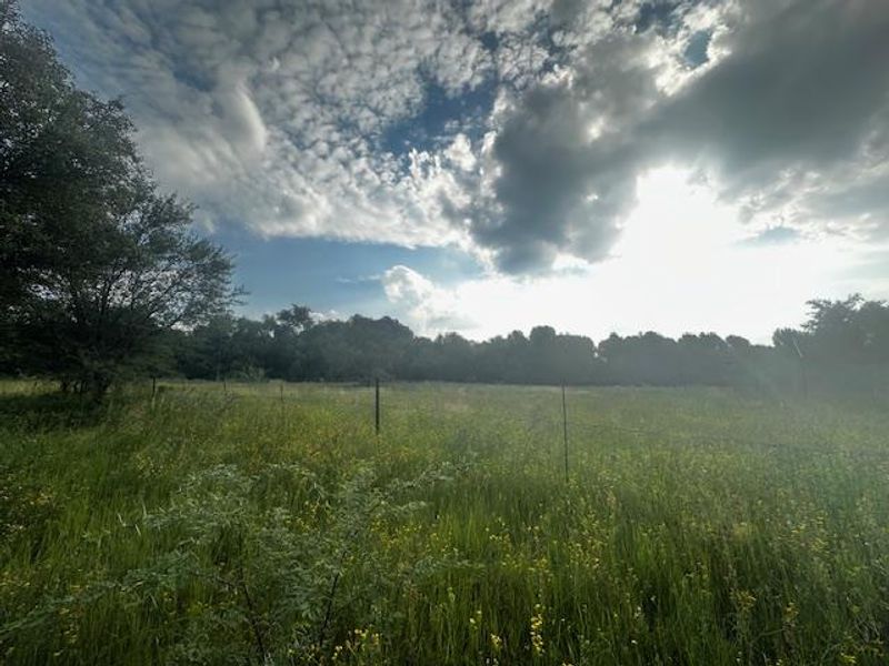 Your Dream Awaits! - Photo 4