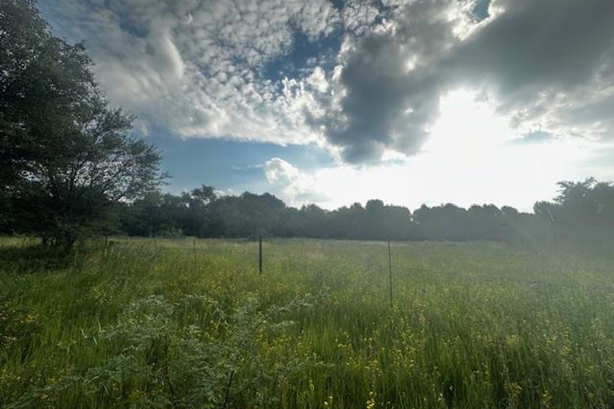 Your Dream Awaits! - Photo 4