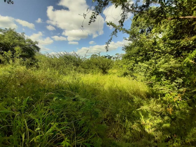 Stand for sale in Gravelotte - Photo 2