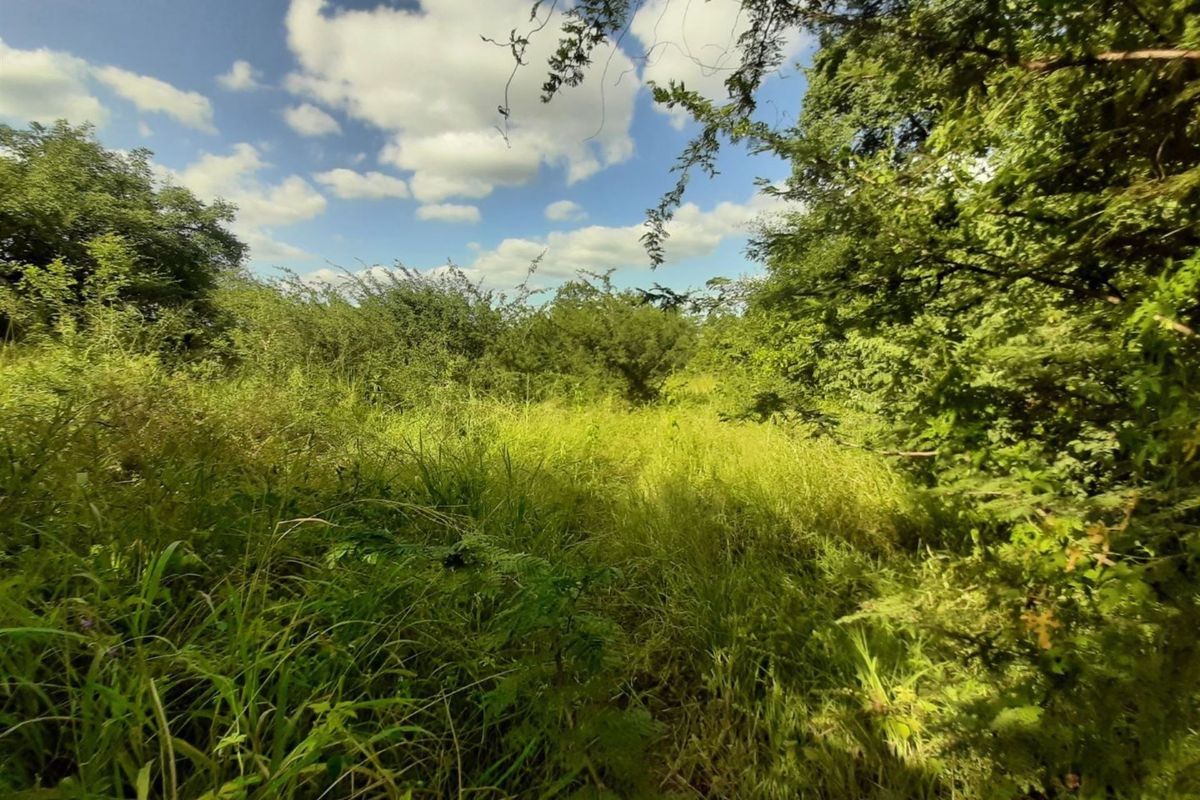 Stand for sale in Gravelotte - Photo 2