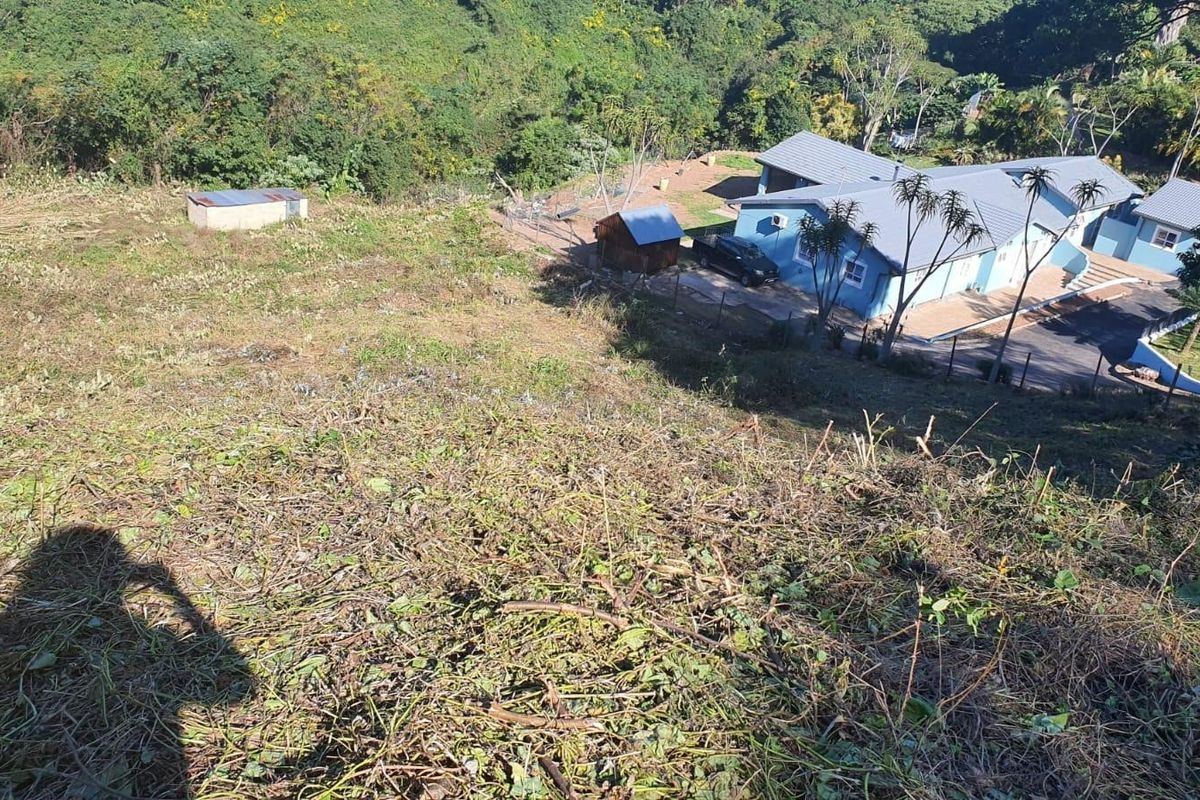 An elevated view of a sloped residential plot featuring natural vegetation, perimeter fencing, and an existing outbuilding structure.