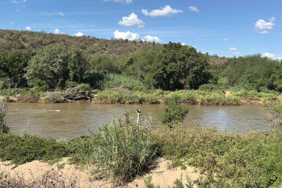 A scenic view of a natural river flowing through a lush, undeveloped landscape with native vegetation and trees.