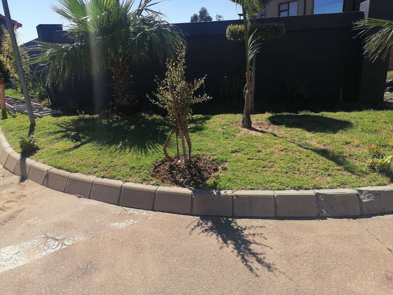 A view of the landscaped garden area featuring a lawn, young trees, and a concrete boundary wall with concrete kerbing along the driveway.