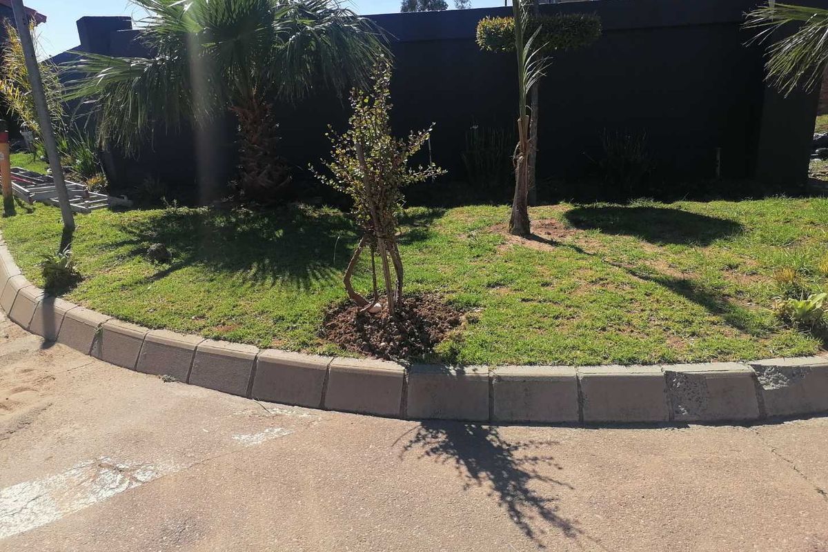 A view of the landscaped garden area featuring a lawn, young trees, and a concrete boundary wall with concrete kerbing along the driveway.