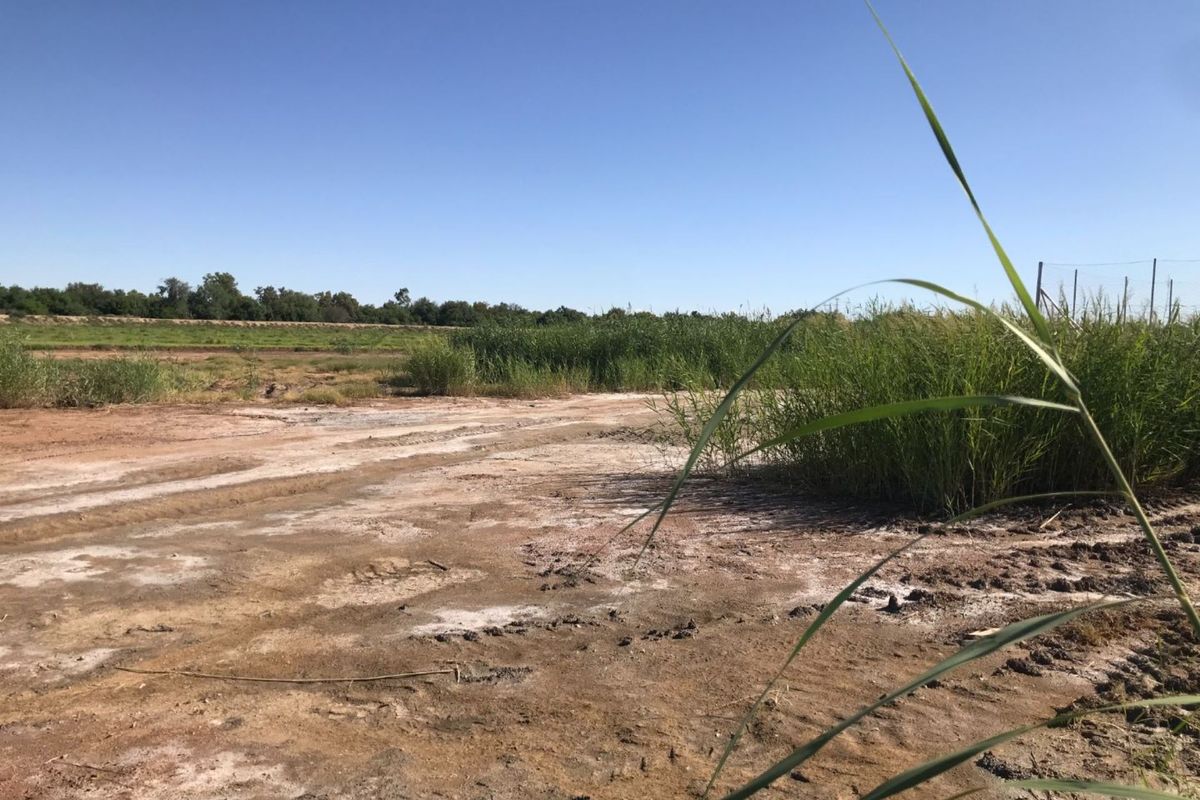 Vacant stand on 'n prime spot in a very popular area. - Photo 5