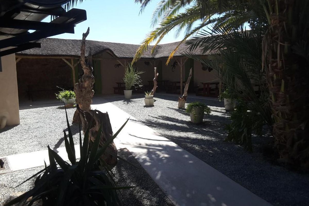 A tranquil courtyard area featuring a thatched roof overhang, gravel landscaping, and mature palm trees, providing a shaded outdoor space for guests.