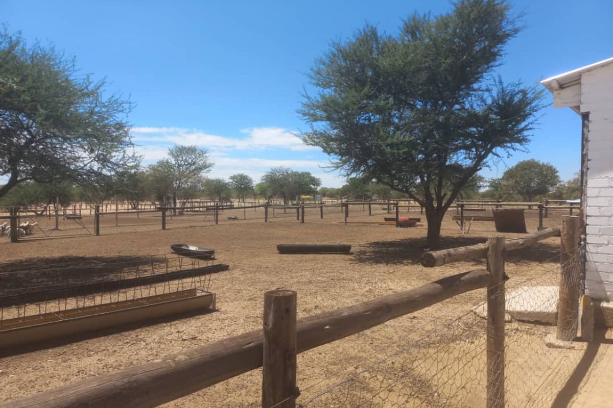 Outdoor small holding area featuring extensive timber post and wire fencing, established trees, and open livestock enclosures.