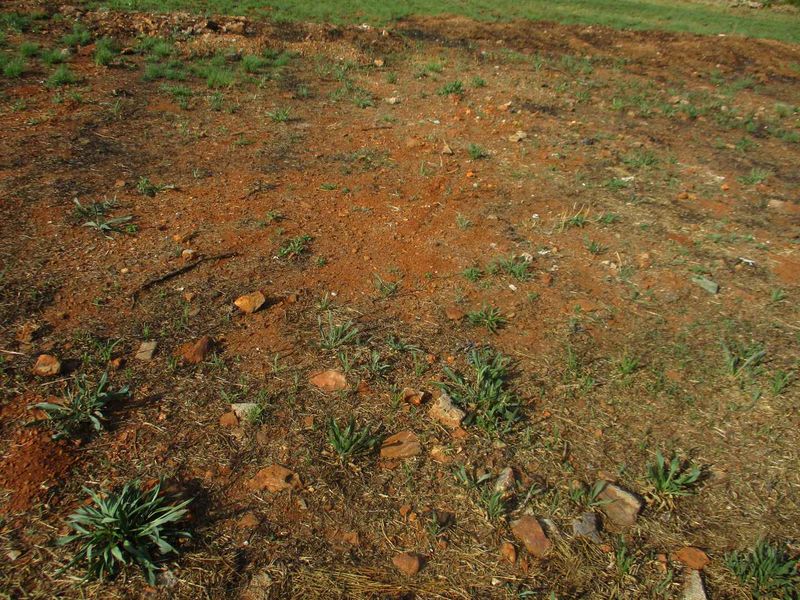 A view of the vacant residential land showing natural soil and sparse vegetation.