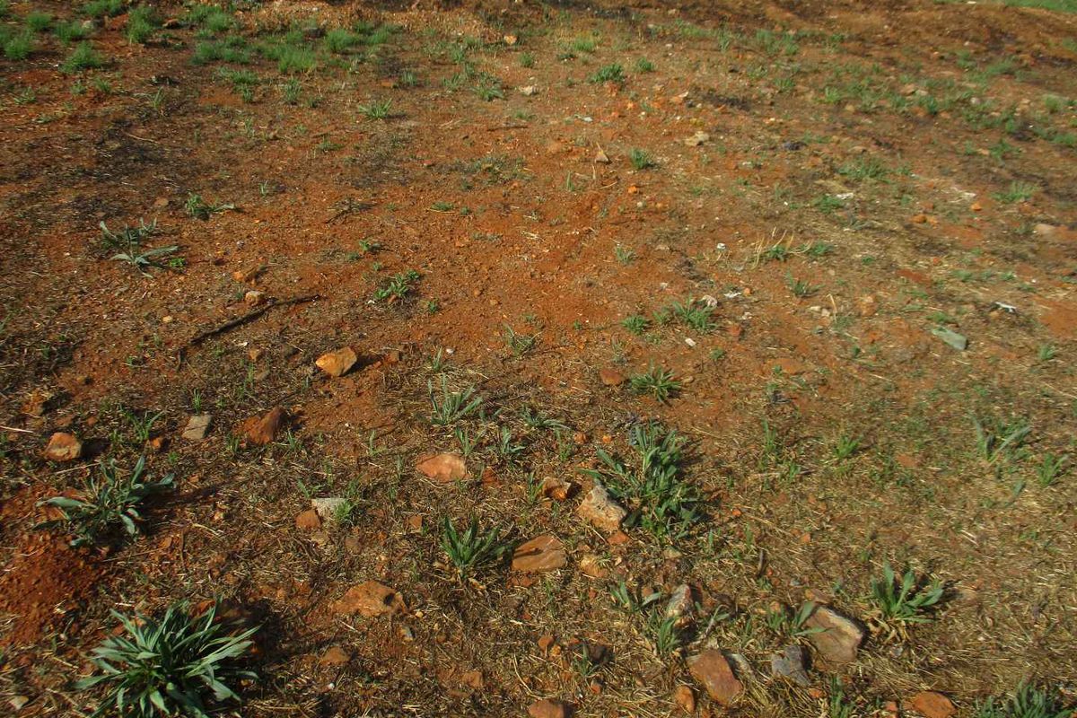 A view of the vacant residential land showing natural soil and sparse vegetation.