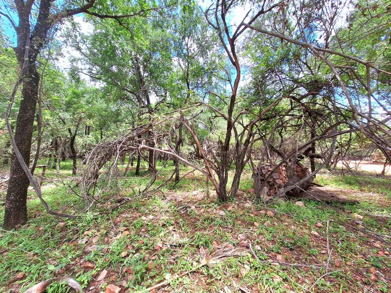 Tranquil Corner Stand - Prime Location - Photo 2