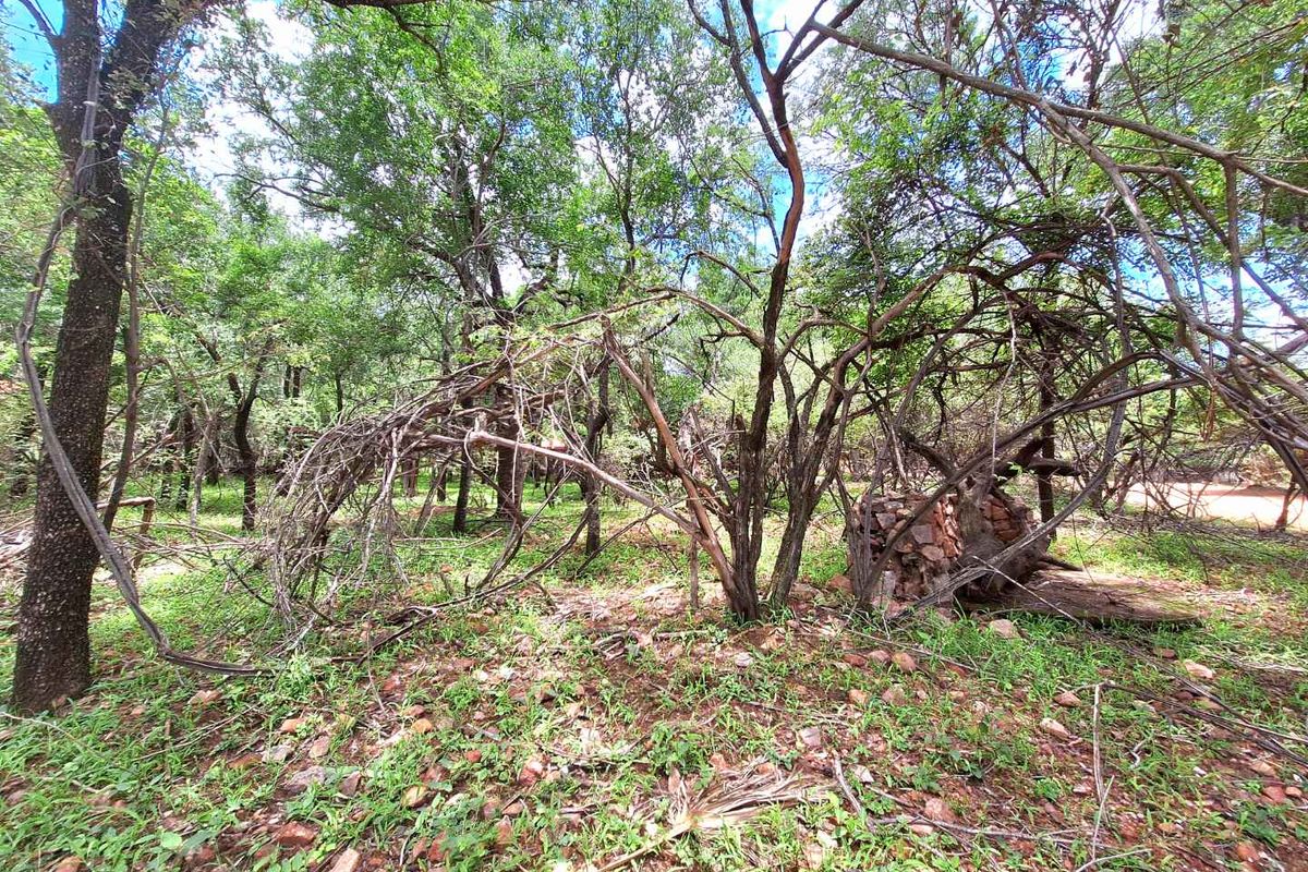 Tranquil Corner Stand - Prime Location - Photo 2