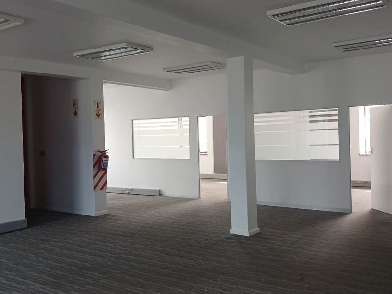 A spacious, open-plan office area featuring neutral carpeting, recessed lighting, and frosted glass partitions, providing a clean and professional workspace environment.