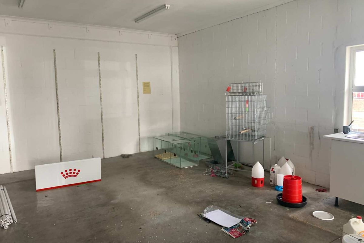 Secure Your Spot in a Thriving Business Hub Today - Photo 3