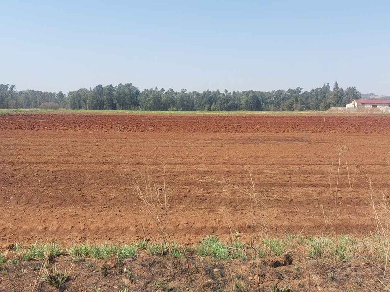 Prime 17.8 Hectare Vegetable Farm for Sale in Eikenhof Johannesburg - Photo 10