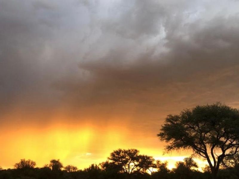 Prime Agricultural & Lifestyle Plot for Sale – Arbeidskroon (Plot 374) - Photo 4