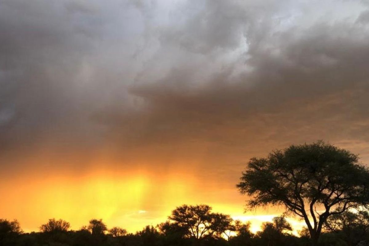 Prime Agricultural & Lifestyle Plot for Sale – Arbeidskroon (Plot 374) - Photo 4