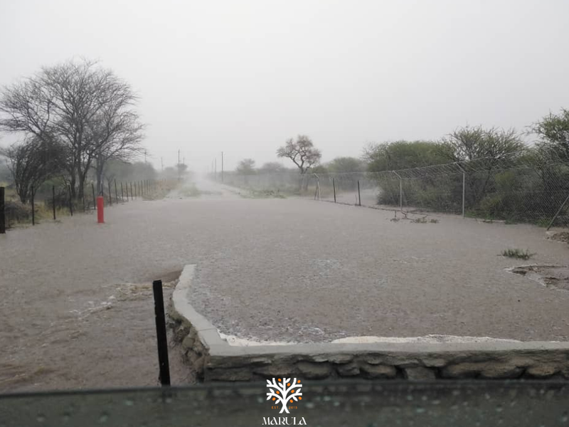 5-HECTARE PLOT AVAILABLE WITH RURAL-RESIDENTIAL ZONING - Photo 5