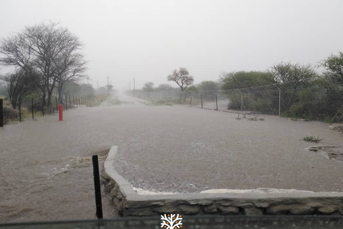 5-HECTARE PLOT AVAILABLE WITH RURAL-RESIDENTIAL ZONING - Photo 5