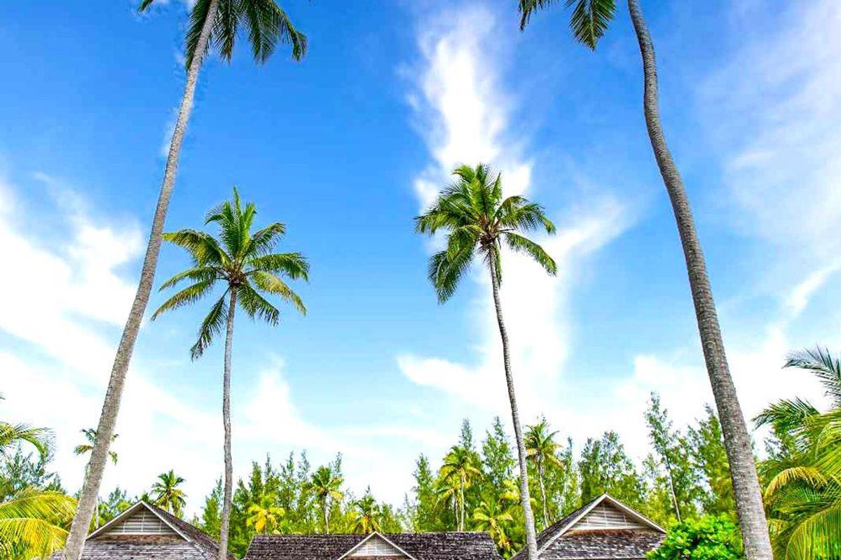 A tropical villa exterior featuring a central swimming pool, lush garden landscaping, and traditional pitched roof architecture surrounded by tall palm trees.